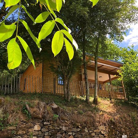 Camping Moulin De Chaules Saint-Constant Luaran gambar